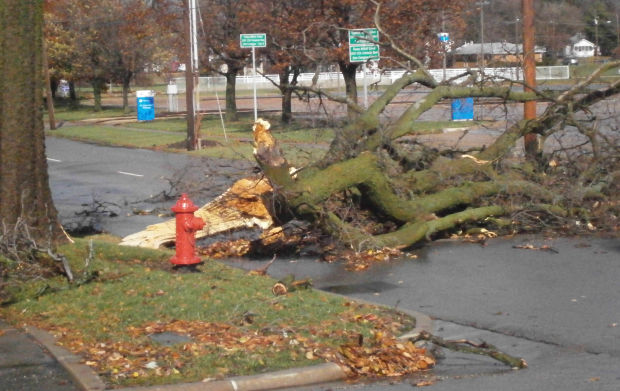 Normal storm damage